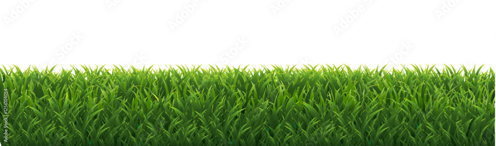 Grass Border With Transparent Background Grass Border With Transparent Background
