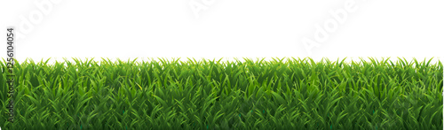 Grass Border With Transparent Background