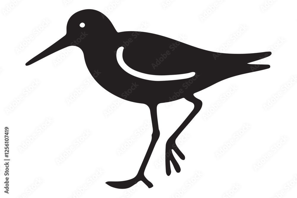 Shorebird Silhouette Vector Illustration Bird Sandpiper Wildlife Design Shorebird Silhouette Vector Illustration Bird Sandpiper Wildlife Design