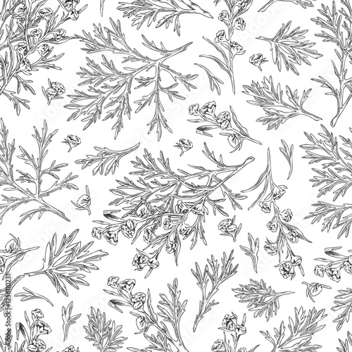 Wormwood plant seamless pattern engraved sketch, vector hand drawn flowers and leaves, medical plant Artemisia herb
