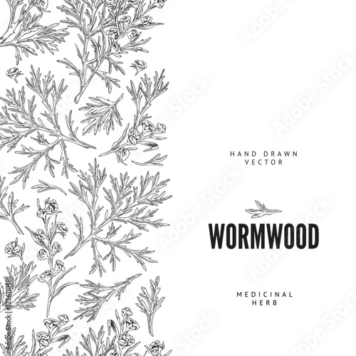 Wormwood plant engraved sketch seamless border, vector hand drawn flowers and leaves, medical Artemisia essential herb