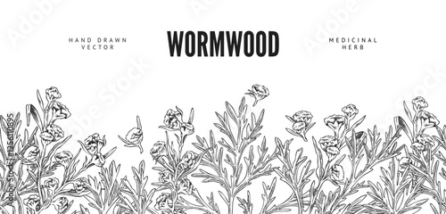 Wormwood plant engraved sketch seamless border, vector hand drawn flowers and leaves, medical Artemisia essential herb