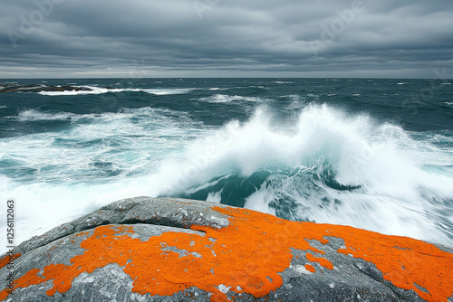 Rocky Coastline Of Bicheno,...