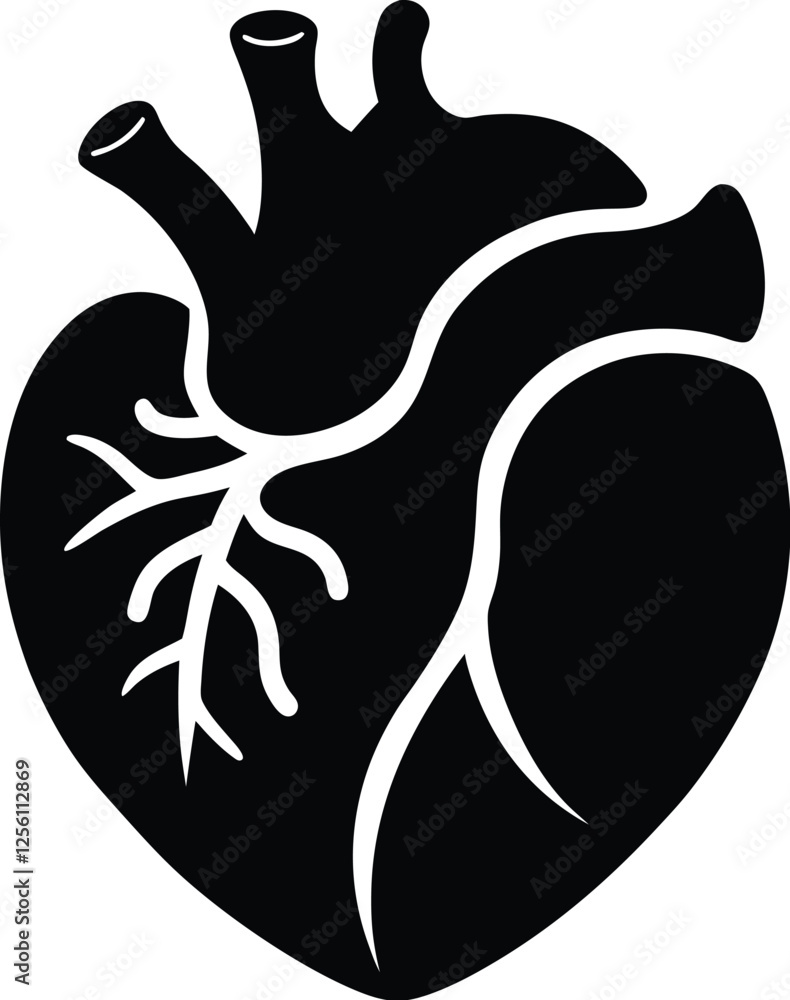 human heart silhouette, human heart vector icon design, anatomical illustration graphic human heart silhouette, human heart vector icon design, anatomical illustration graphic