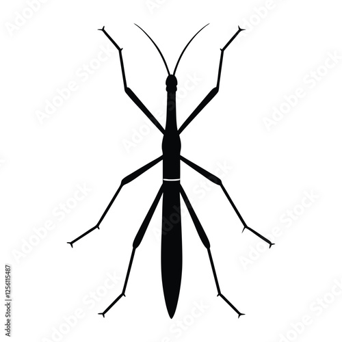 Vector silhouette illustration of a stick insect