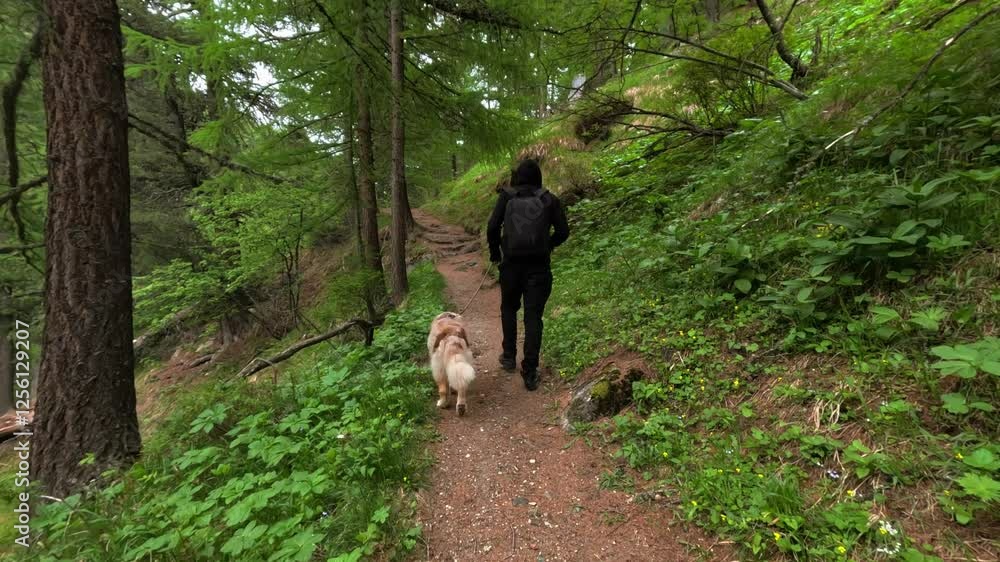 Tourist active man with a backpack walking his dog on a mountain trail path. Perfect for lifestyle, travel, vacation, and adventure in the Swiss Alps Tourist active man with a backpack walking his dog on a mountain trail path. Perfect for lifestyle, travel, vacation, and adventure in the Swiss Alps