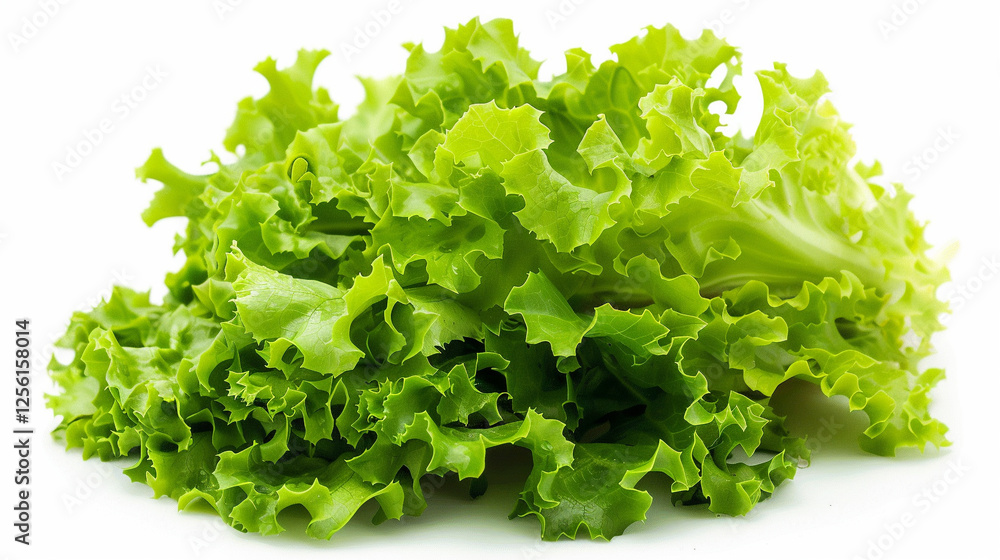 Lettuce on an isolated white background, object focused, png, stock image, hd quality Lettuce on an isolated white background, object focused, png, stock image, hd quality