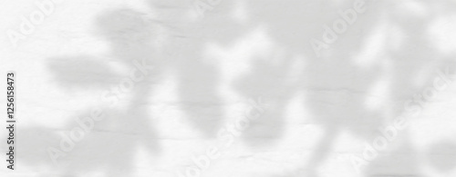 Glare from the sun's rays on the wall. Blurred shadows from leaves and plants in the room. Soft overlay of natural light. Abstract background for product presentation.Natural light layout.