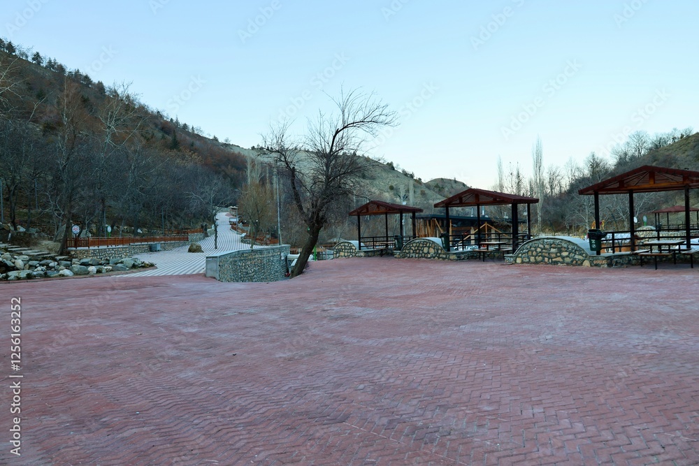 winter in the city park. High quality photo winter in the city park. High quality photo