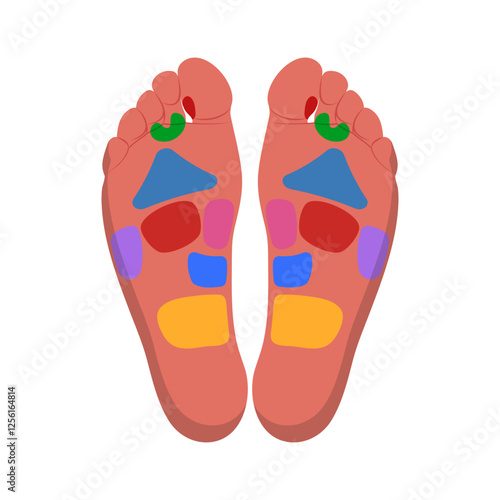 Foot Reflexology flat vector illustration isolated