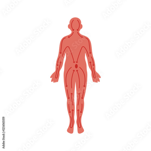 Human Body, Meridians flat vector illustration isolated