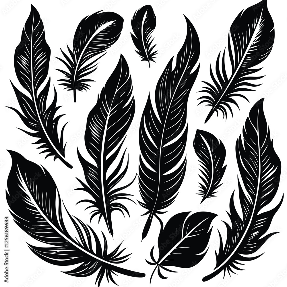 Obraz premium set of feathers vector