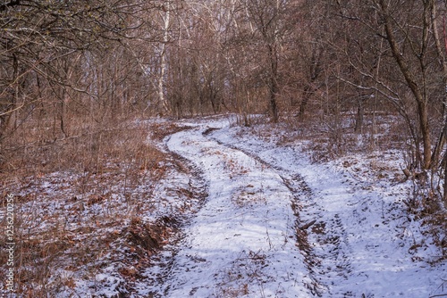 Dirt road in winter forest. Beautiful landscape with snowy road and trees.