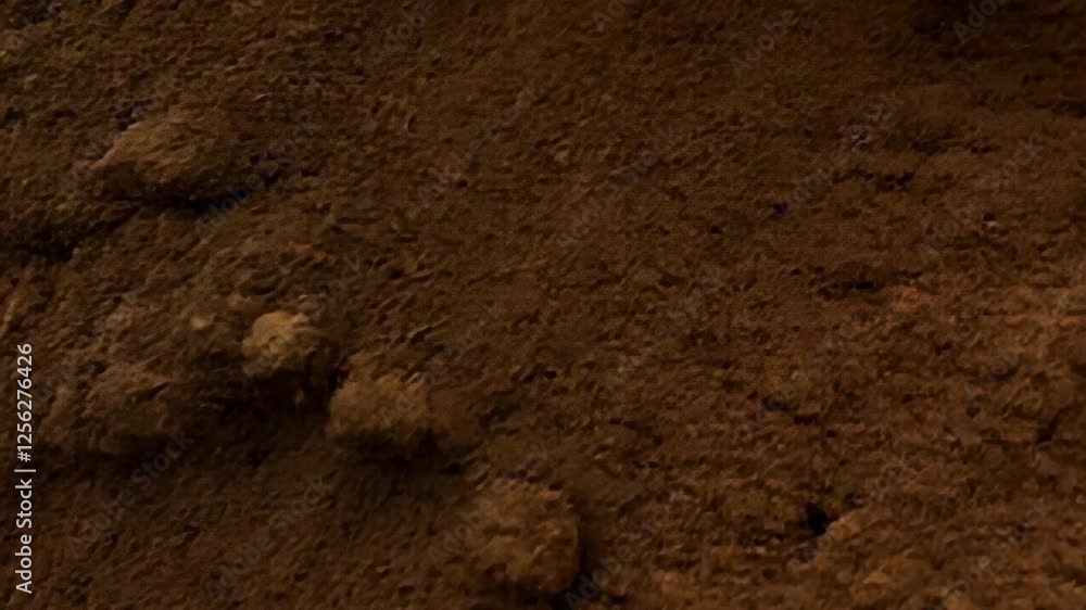Rich brown earth with fine texture showing grains and small stones in bright lighting Rich brown earth with fine texture showing grains and small stones in bright lighting