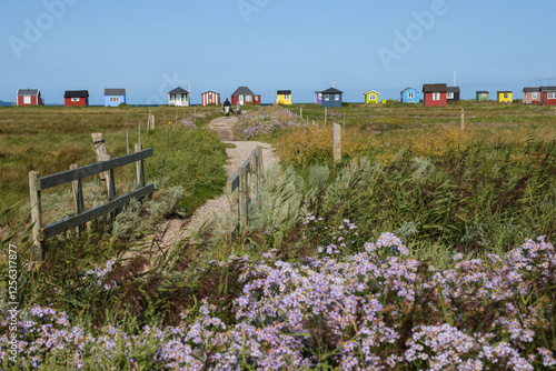 View to salt marsh with blooming sea lavenders and colorful beach huts at Vesterstrand, Ærøskøbing, Ærø, Denmark	 photo