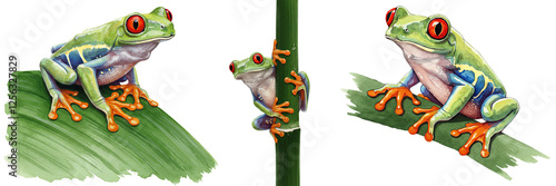 Collection of red-eyed tree frog clipart in watercolour style isolated on a transparent background photo