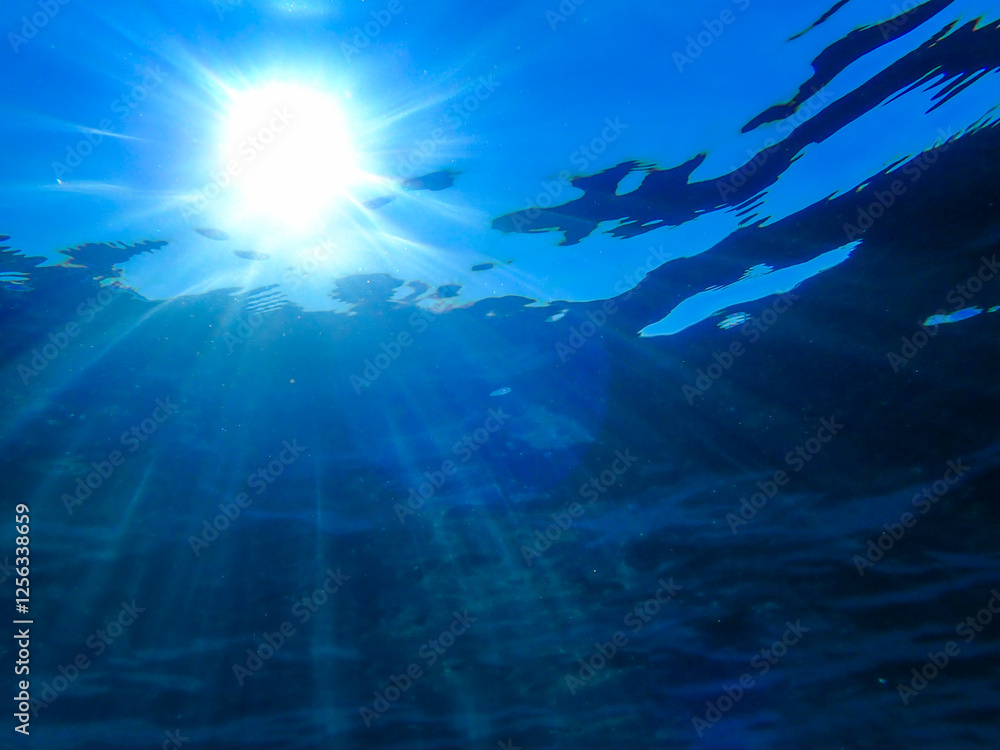 Fototapeta premium bubbles, bubble, water, underwater, sea, air, deep, undersea, under, background, wave, liquid, clear, clean, ocean, nature, texture, oxygen, blue, white, effect, transparent, foam, aquarium, aqua.
