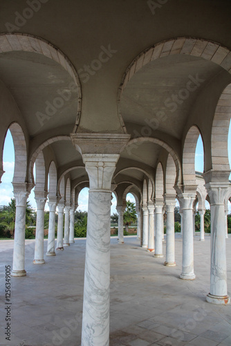 Mosque Malik ibn Anas in Carthage, Tunisia, North Africa photo