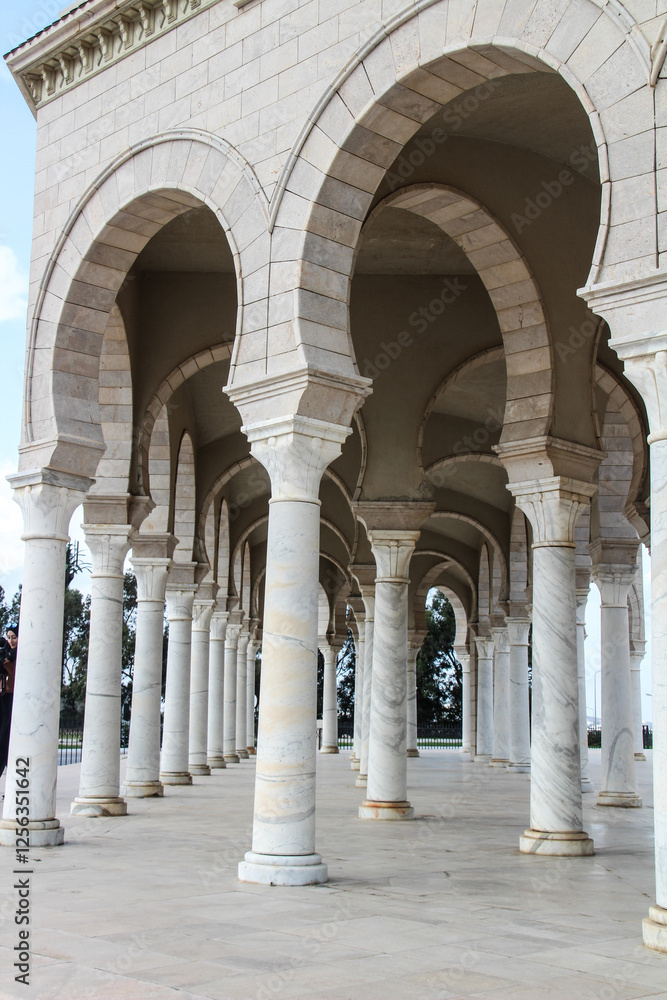 Mosque Malik ibn Anas in Carthage, Tunisia, North Africa Mosque Malik ibn Anas in Carthage, Tunisia, North Africa