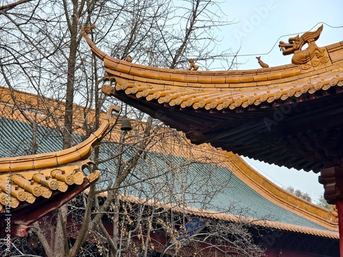 Chaotian Temple in Nanjing city, China photo