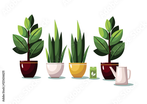 Plants in flowerpots and watering can. Home flowers on white background.