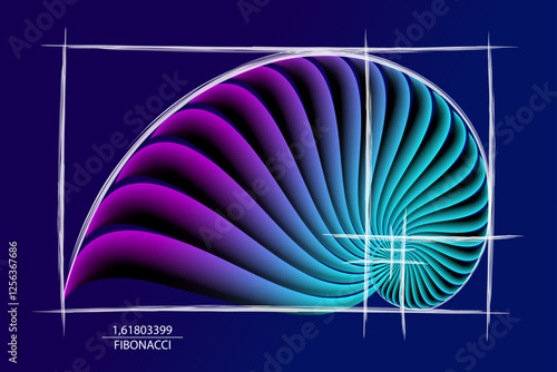 Fibonacci Sequence Golden ratio, geometric shapes spiral. Colorful Snail spiral. Sea shell of white circles. Sacred geometry logo template. Vector isolated on blue background