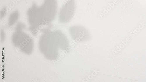 Leaf Shadow Overlay: Soft, blurred shadow of leaves cast on a white wall, perfect for adding a natural, subtle texture to designs.