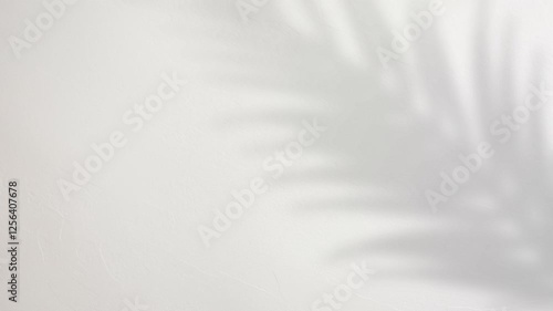 Soft Palm Leaf Shadow overlay on Textured Wall