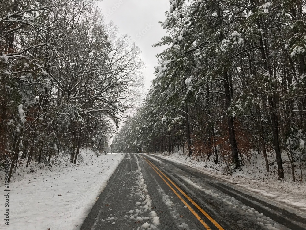 road in winter road in winter