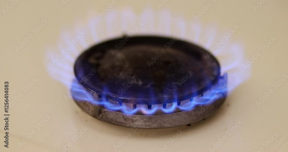 Against a dark background, a domestic kitchen gas cooking hob burner ignites and burns before being turned off.
Against a dark background, a domestic kitchen gas cooking hob burner ignites and burns before being turned off.