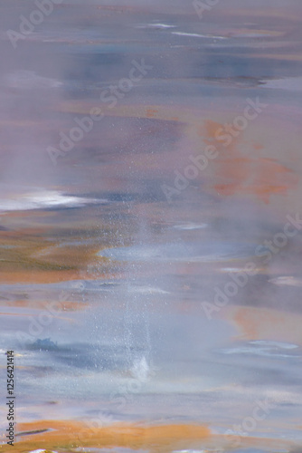 The porcelain basin at Norris Geyser Basin, Yellowstone National Park