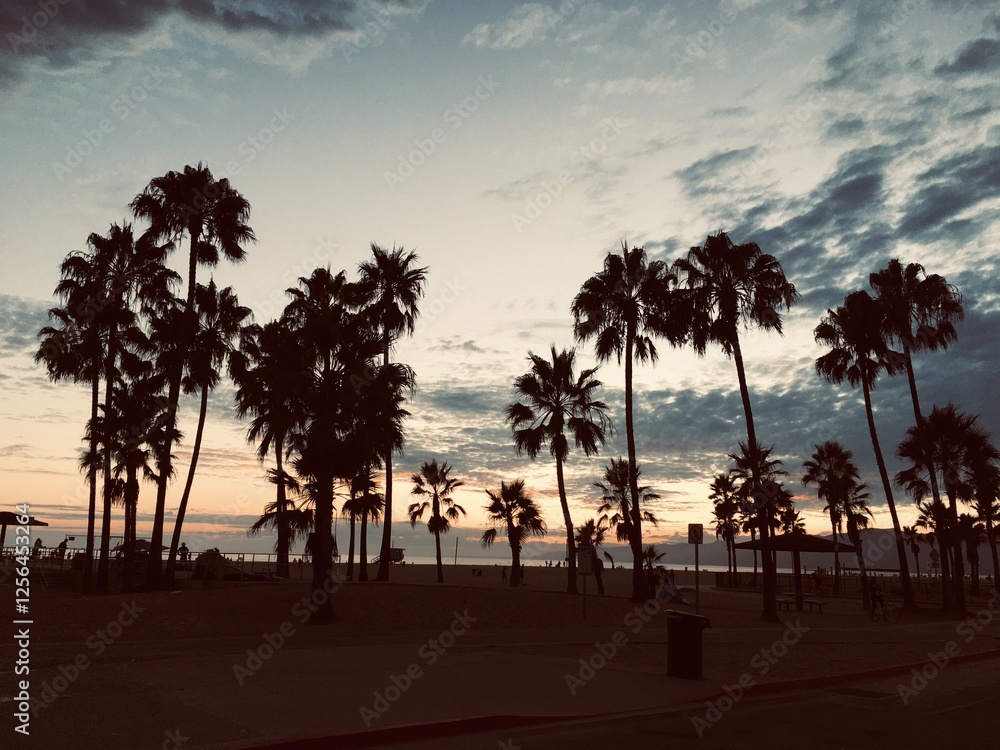 Obraz premium Venice Beach Sunset With Palm Trees