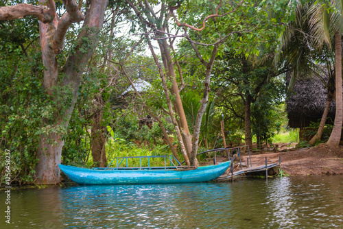 Empty blue catamaran on the shore of Hiriwadunna lake, Sigiriya, Sri Lanka