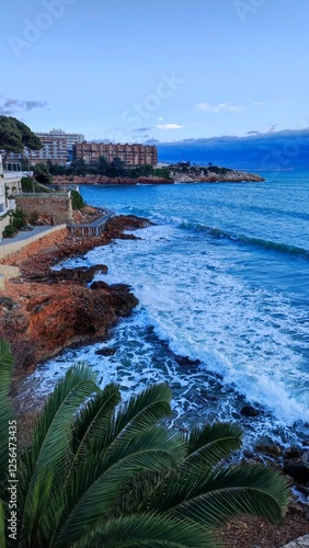 coast of the sea