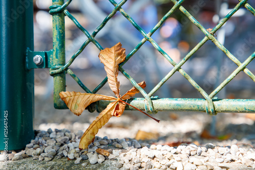Obraz na płótnie a chain fence with a single, dry brown leaf caught in mesh w salonie