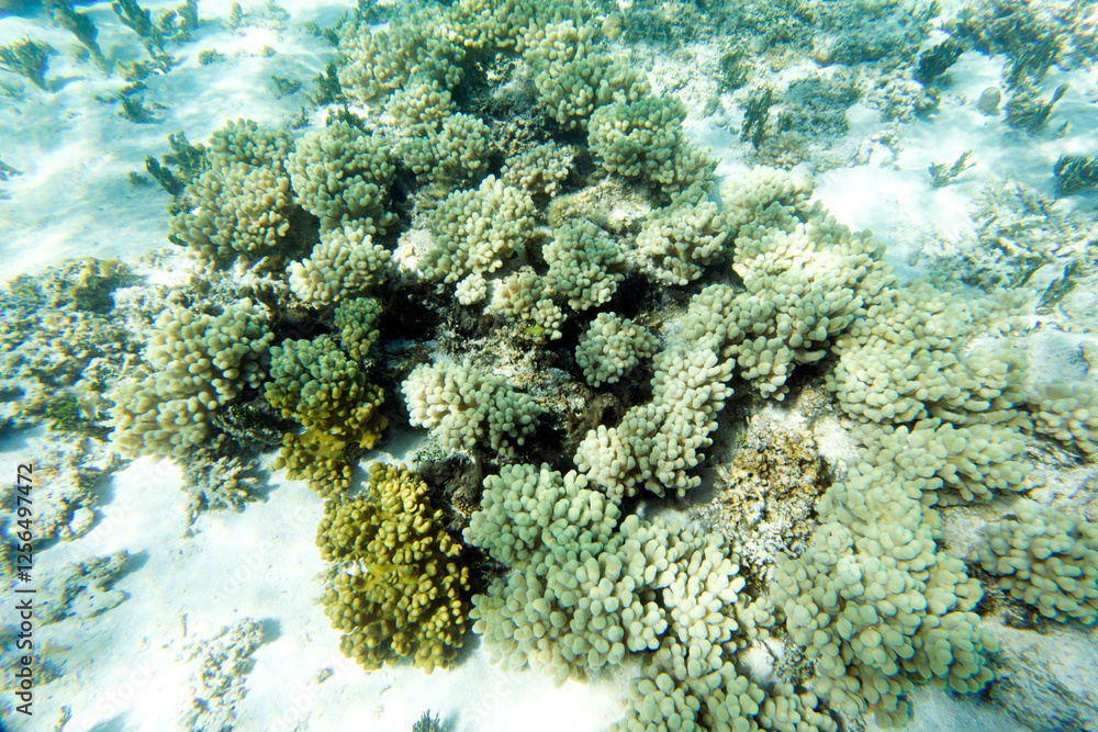 Fototapeta premium Landscape photo of lagoon