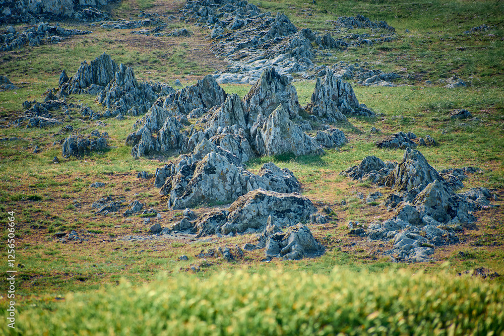 Green shales, old rocks in the Casimcei plateau in Dobrogea, Romania