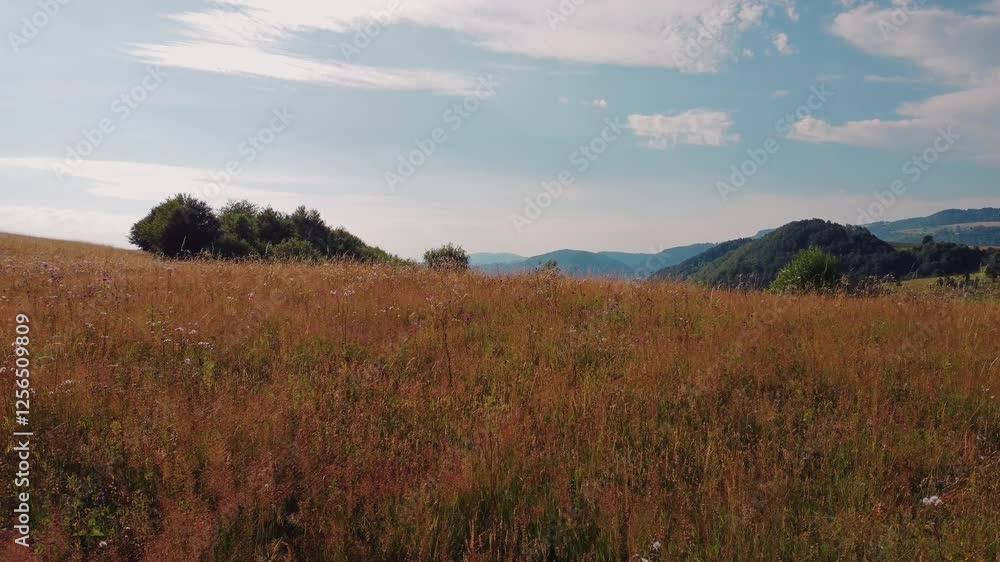 Tranquil sunny summer landscape with green fields and hills. Tranquil sunny summer landscape with green fields and hills.