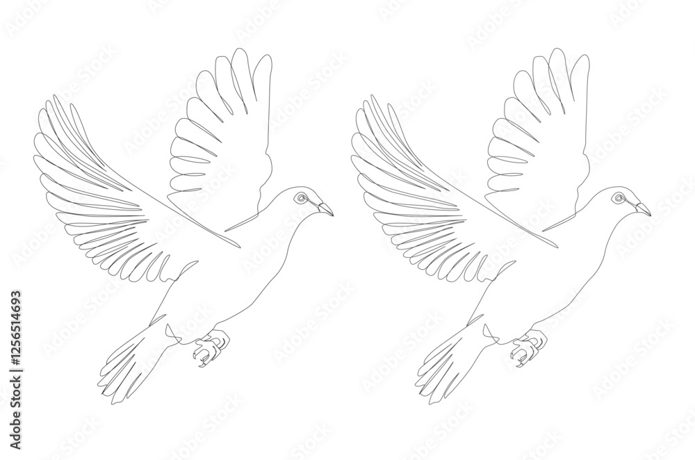 Obraz premium White Dove Bird