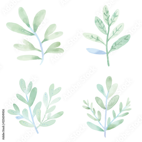 Rosemary sprig watercolor hand drawn set collection