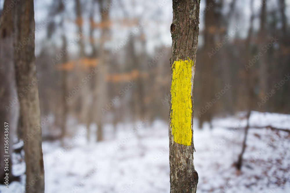 Fototapeta premium Trail marker on tree