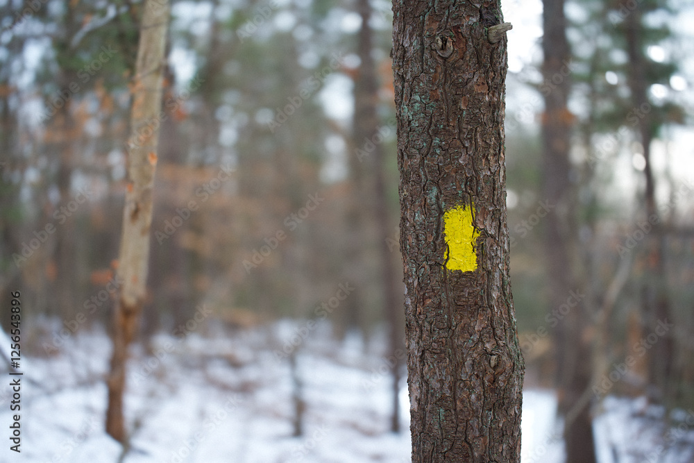 Fototapeta premium Yellow trail marker on snowy tree