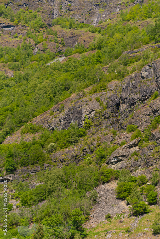 Flam - Norway - June 06 - 2023 - Mountain Flam - Norway - June 06 - 2023 - Mountain
