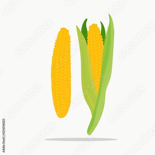 Set of ripe yellow corn with green and yellow leaves, slices and individual grains. Vector illustration in flat style isolated on white background.