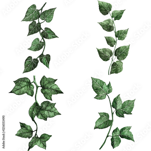 Dark green ivy vine watercolor set hand drawn