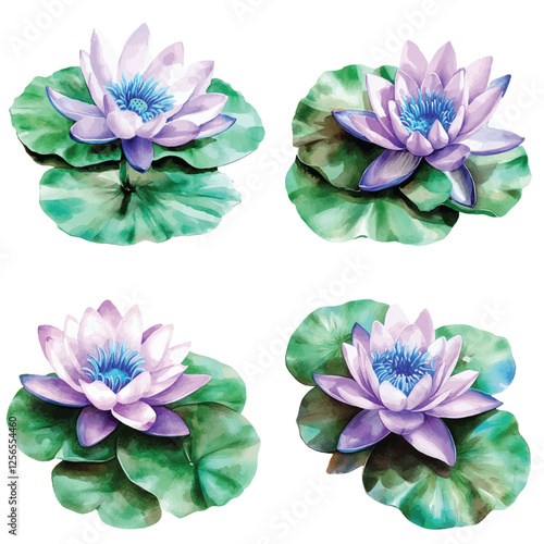 lotus water lily watercolor hand drawn illustration concept