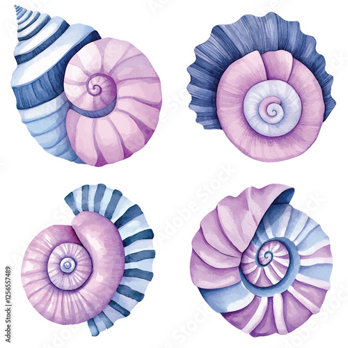 Pink and beige spiral shell watercolor hand drawn set collection