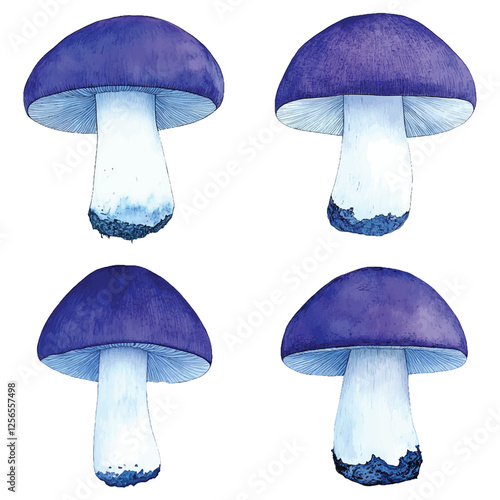 Red mushroom watercolor set hand drawn