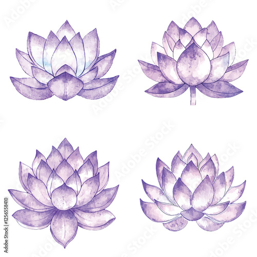 pink lotus flower watercolor hand drawn illustration concept