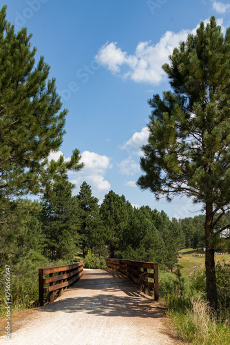 Wooden bridge on the George S. Mickelson Trail, South Dakota photo